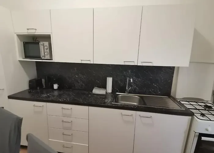 Central City Apartment * Bécs